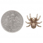 Bronze Spider Post Earrings 11x12mm