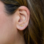 Bronze Small Bat Stud Earrings on ear