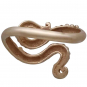 Bronze Octopus Tentacle Adjustable Ring