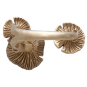 Bronze Adjustable 3D Mushroom Ring Back View