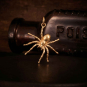 Bronze Tarantula Charm on dark background