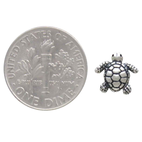 Sterling Silver Turtle Solderable Charm 10x10mm with Dime
