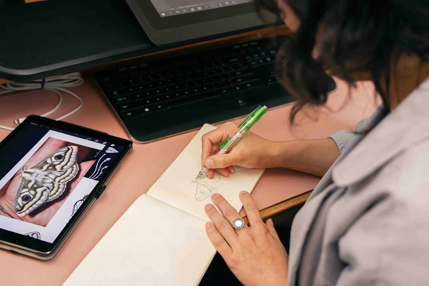 Drawing Luna Moth Charm Sketch