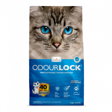 Intersand Odourlock Clumping Cat Litter, Unscented, 6kg