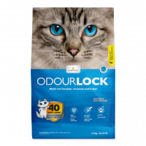 INTERSAND ODOURLOCK Clumping Unscented 12kg