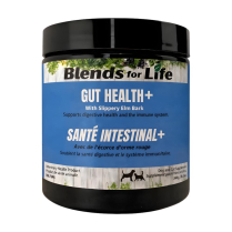 BLENDS For Life Gut Health+ PREBIOTIC 60g