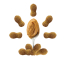 DARFORD Peanut Butter 5.44kg