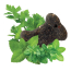 DARFORD CharMint Minis 5.44kg
