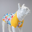 LINDODOGS Art Tshirt Size 5