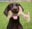 TALL TAILS Toy Leather - NATURAL Antler 11"