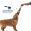 TALL TAILS 16" Natural Leather Color Jointed Trout Tug Toy