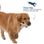 TALL TAILS 5" Natural Leather & Rope Crunch Fish Toy