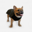 WOOF Concept Lab IX Cognito Illuminous Reflective Jacket 28