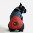 WOOF Concept Lab IX Arrow Navy Blue and Red Windbreaker 26