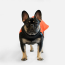 WOOF Concept Lab IX Wintertide Jacket Blood Orange 16