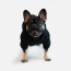WOOF Concept Lab IX Casual Haze Black Hoodie 24