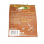 DEFINE Planet Cat Straw/Feather Butterfly