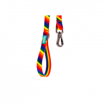WOOF Concept Leash Ikonic Pride Medium