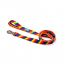 WOOF Concept Leash Ikonic Pride Medium