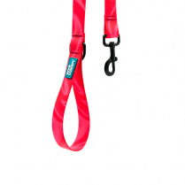WOOF Concept Leash AQUA Cosmopolitan Small/Medium