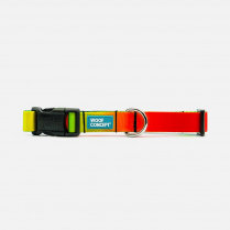 WOOF Concept Collar Ikonic Baked Too Small