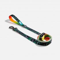 WOOF Concept Leash Ikonic Baked Medium