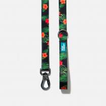 WOOF Concept Leash Ikonic Maui 2 Medium