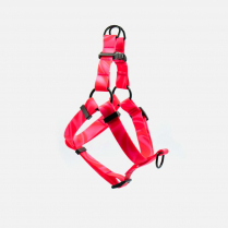 WOOF Concept Harness AQUA Cosmopolitan Medium