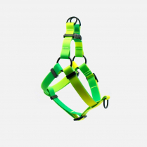 WOOF Concept Harness AQUA Lime Margarita Small