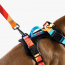 WOOF Concept Max Control Mesh Harness Polygon Medium