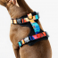 WOOF Concept Max Control Mesh Harness Polygon Medium