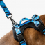 WOOF Concept Max Control Mesh Harness Apex Large