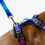 WOOF Concept Max Control Mesh Harness Mystic Medium