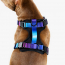 WOOF Concept Max Control Mesh Harness Mystic Medium