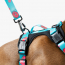 WOOF Concept Max Control Mesh Harness Five-O XLarge
