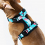 WOOF Concept Max Control Mesh Harness Five-O XLarge