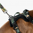 WOOF Concept Max Control Mesh Harness Woodland XLarge