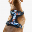WOOF Concept Max Control Mesh Harness Koi Small