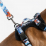 WOOF Concept Max Control Mesh Harness Koi Medium