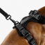 WOOF Concept Max Control Mesh Harness Noir 2 Small