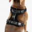 WOOF Concept Max Control Mesh Harness Noir 2 Medium