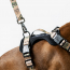 WOOF Concept Max Control Mesh Harness SleeStack XLarge