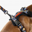 WOOF Concept Max Control Mesh Harness Brooklyn Large
