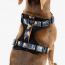 WOOF Concept Max Control Mesh Harness Brooklyn Large