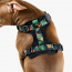 WOOF Concept Max Control Mesh Harness Maui 2 Large