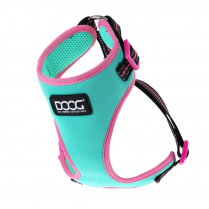 DOOG Neon Dog Harness Rin Tin Tin SMALL