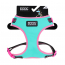 DOOG Neon Dog Harness Rin Tin Tin SMALL