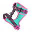 DOOG Neon Dog Harness Rin Tin Tin SMALL