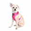 DOOG Neon Dog Harness Lady  XLARGE