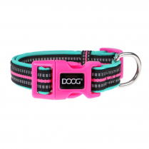 DOOG Neon Dog Collar Rin Tin Tin MEDIUM